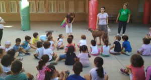 Albacete summer school - Meeting the galgos