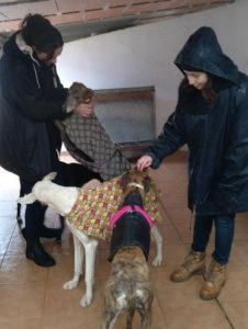 Tracey & Leigh with rescued galgos