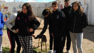 Aristos school pupils visit Arca de Noe