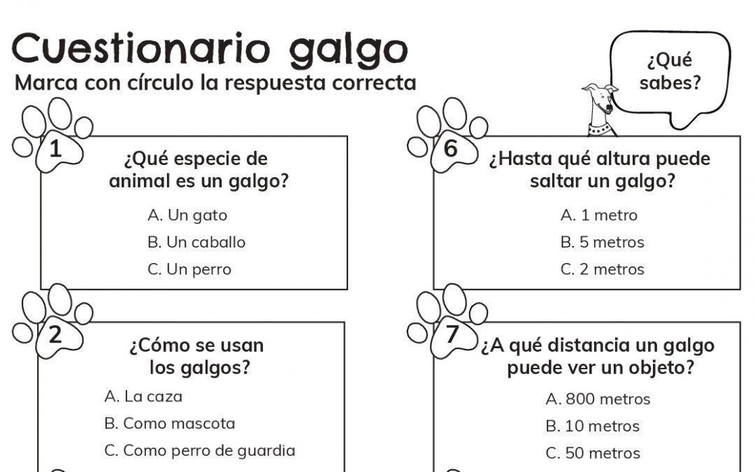 Galgo Quiz-Spanish