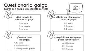 Galgo Quiz-Spanish
