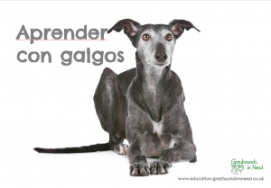 Learn with galgos