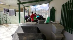 Arca de Noe shelter visits 