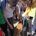 Arca de Noè shelter visits April 2019