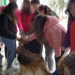 Arca de Noè shelter visits April 2019