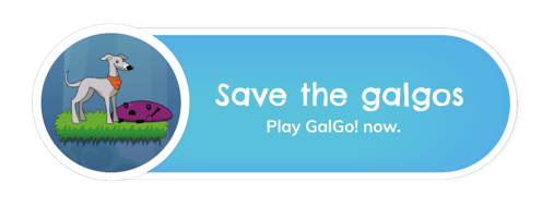 Save the galgos