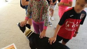 Ana Soto Public School