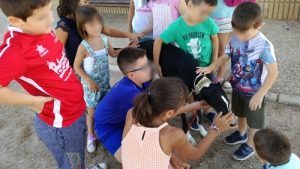 Santa Ana Summer School