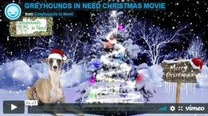 Greyhounds in Need Christmas video