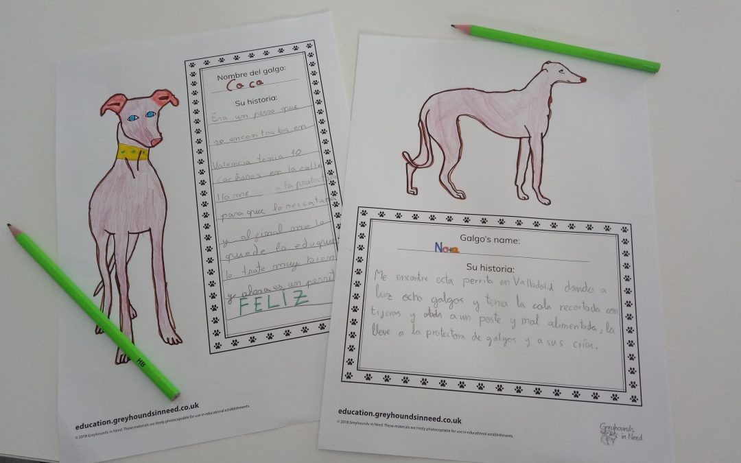 Colouring and creative writing activity