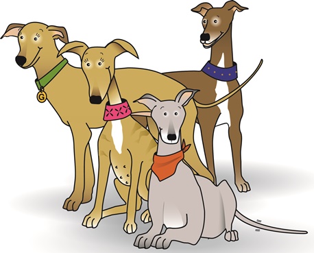 Have you met our galgos?