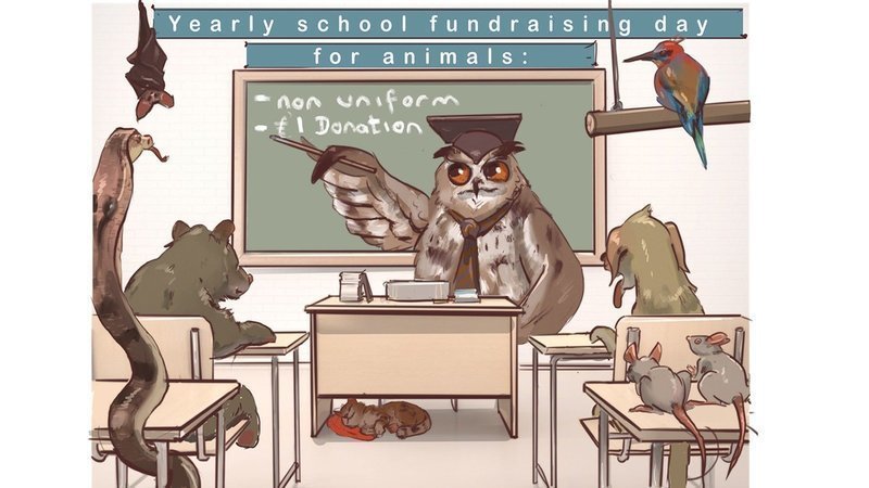 Animal fundraising day in schools
