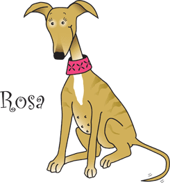 Rosa image