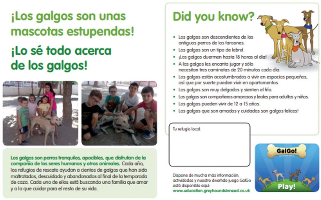 Information leaflet - Galgos make great pets