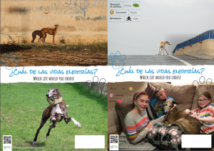 Which life would you choose? Posters comparing the lives of galgos